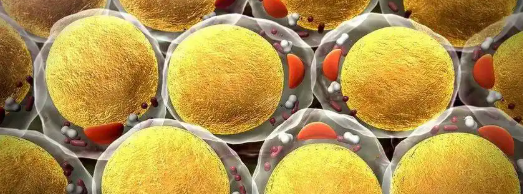 Bioglutide NA-931 for sale | Shaanxi BLOOM Tech Co., Ltd Bioglutide NA-931 for sale | Shaanxi BLOOM Tech Co., Ltd